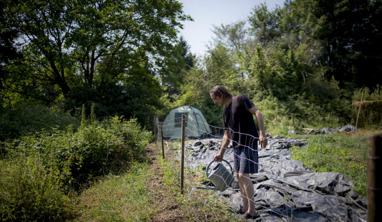 Lapiraterie-piraculture-permaculture-pirate-a-creysse