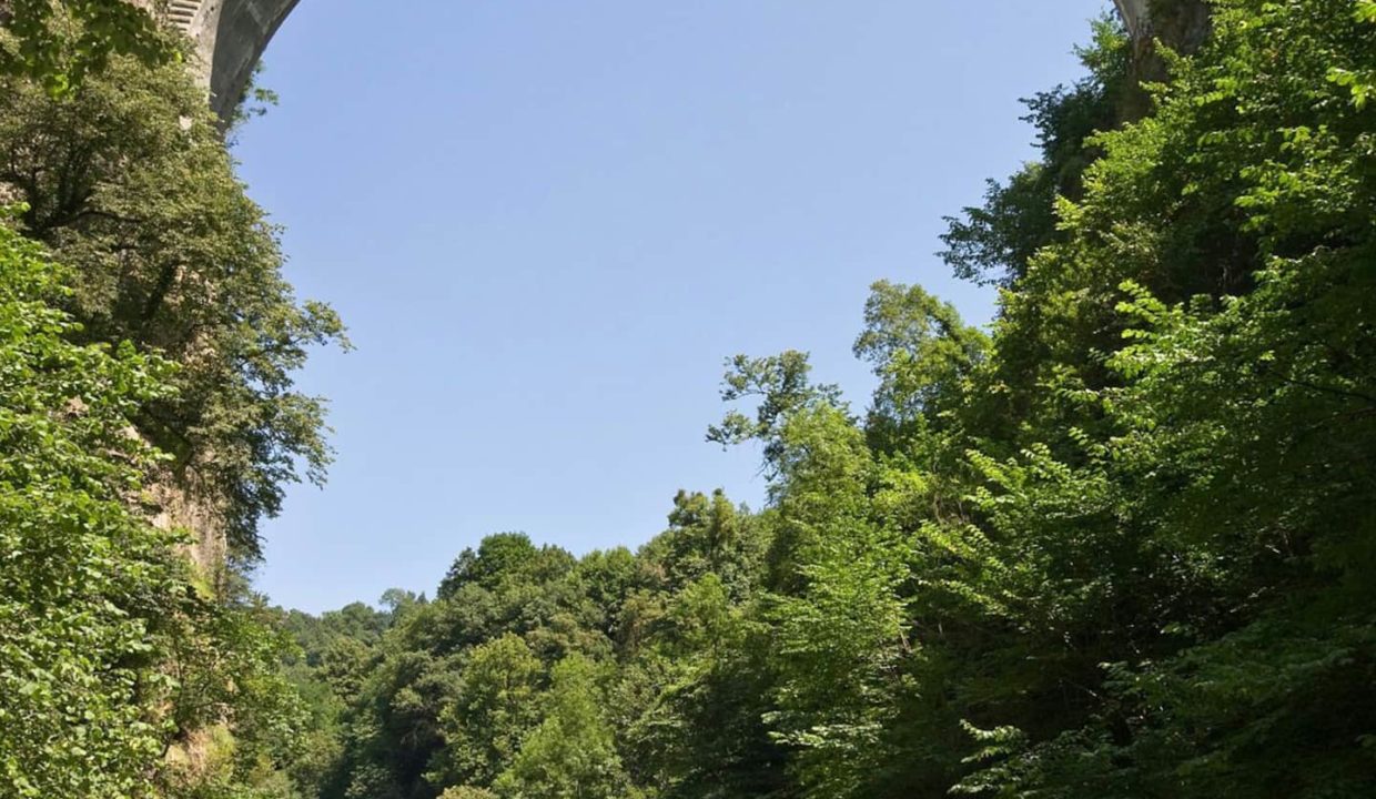 T1-Bis-Luz-Isia-autour-saut-a-l-elastique