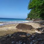 Pointe des châteaux, Guadeloupe