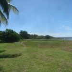 Plage verdoyante à vieux habitants, Guadeloupe