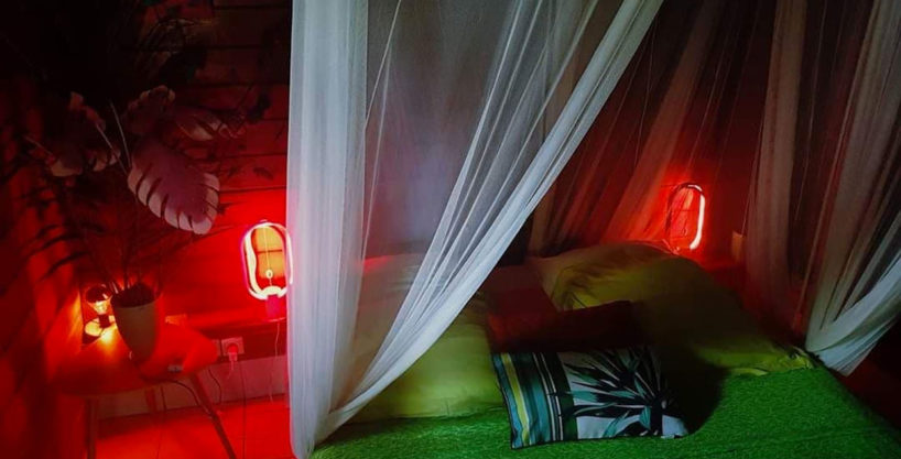 Gîte Jade et Jack Guadeloupe Dehaies avec SPA