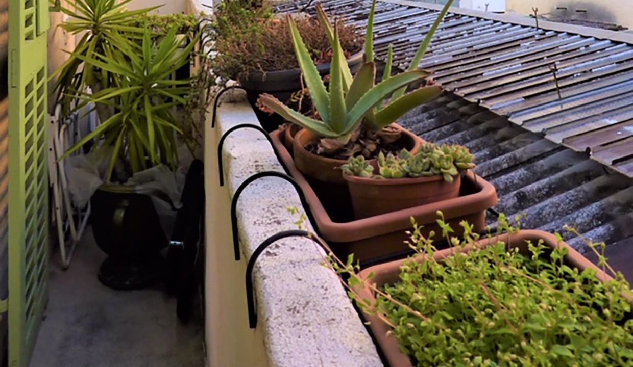 balcon-verdoyant-appartement-marseille