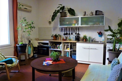 Grand salon lumineux appartement Marseille