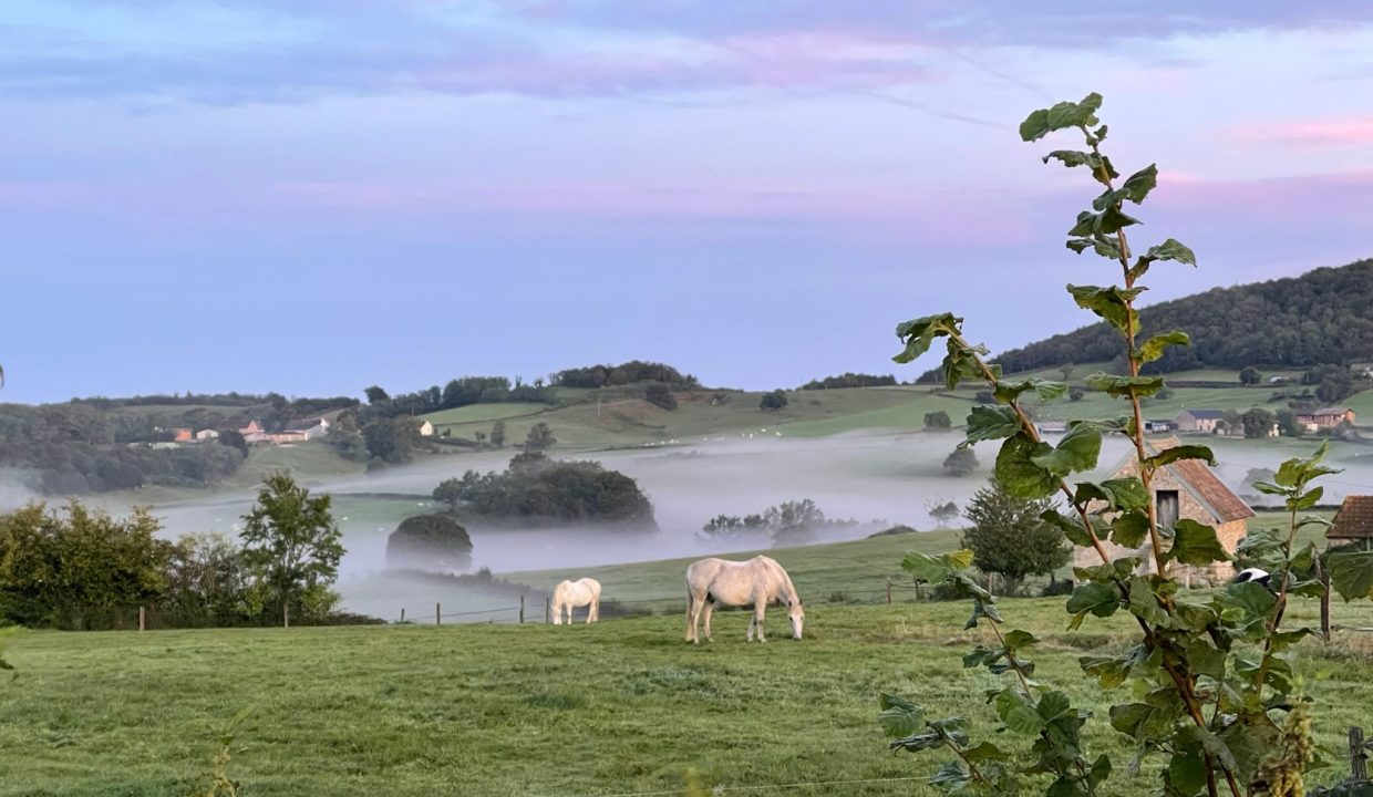 Dettey cheval chambre