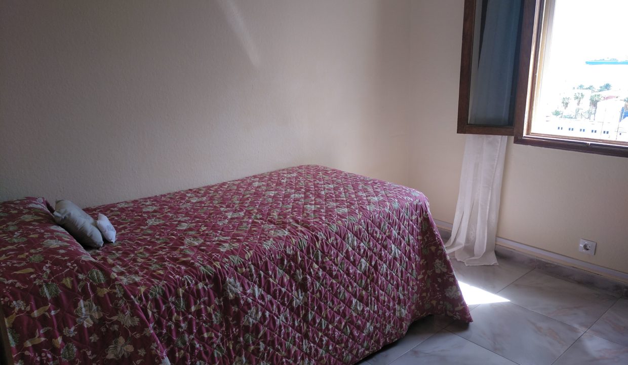 IMG_20220304_121236_873