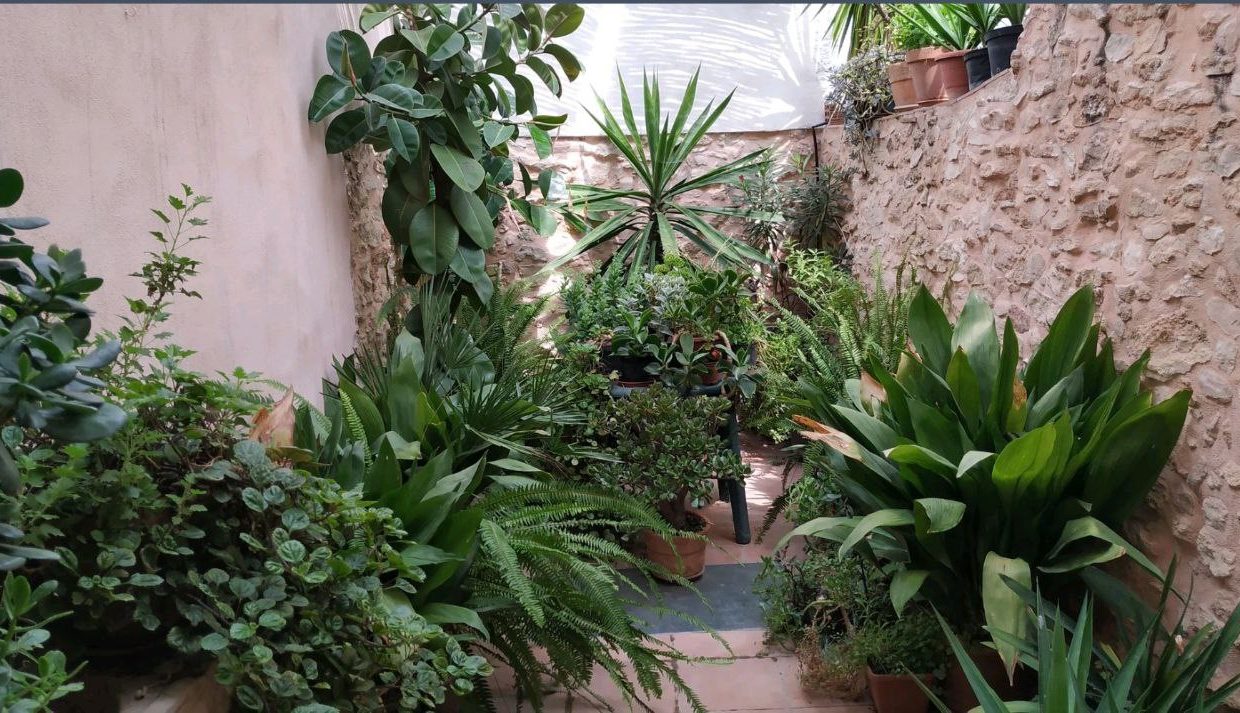 photo_2022-03-13_11-43-38