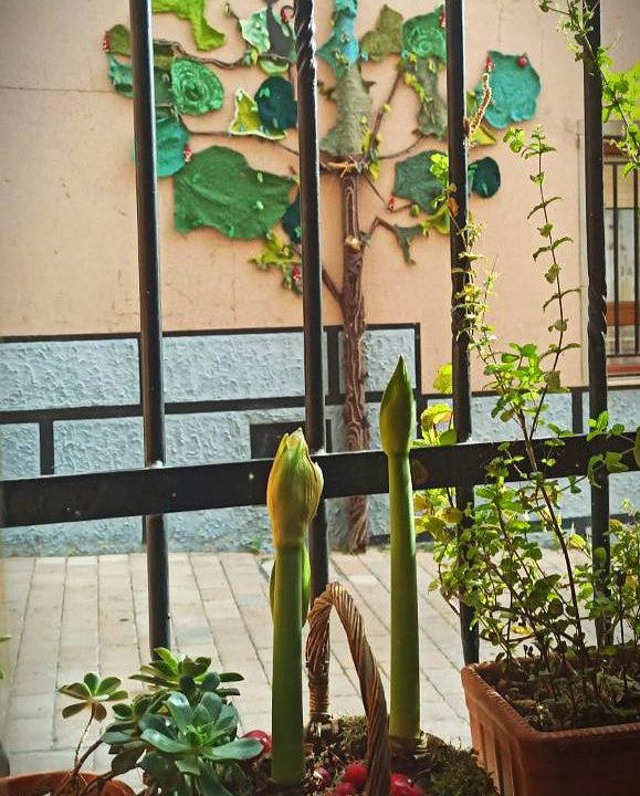 photo_2022-04-05_20-41-44