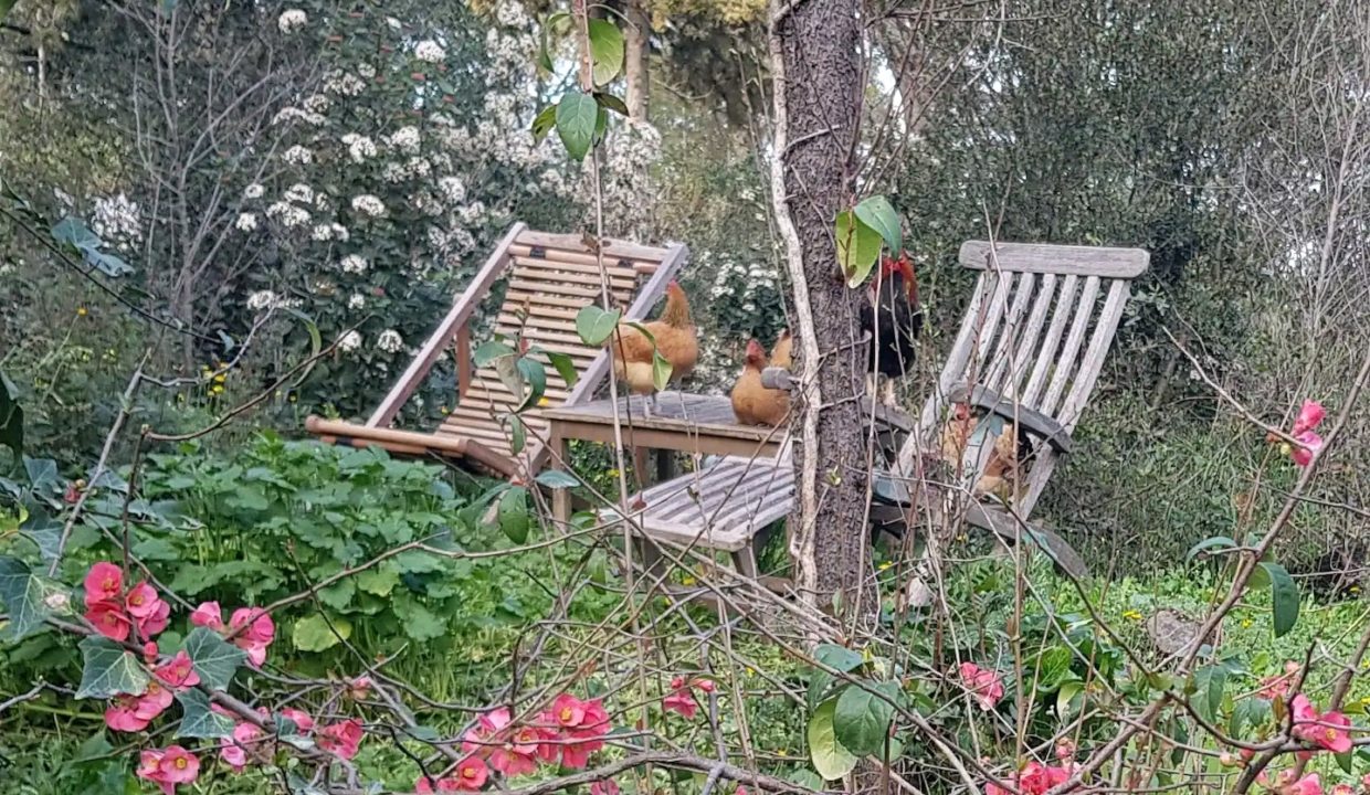 Screenshot_20220313-210001_Airbnb