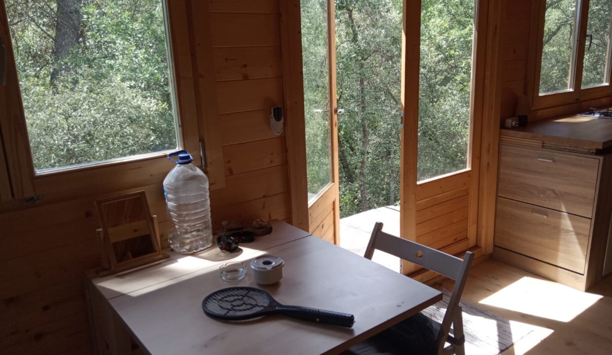 WhatsApp Image 2022-06-07 at 3.50.00 PM