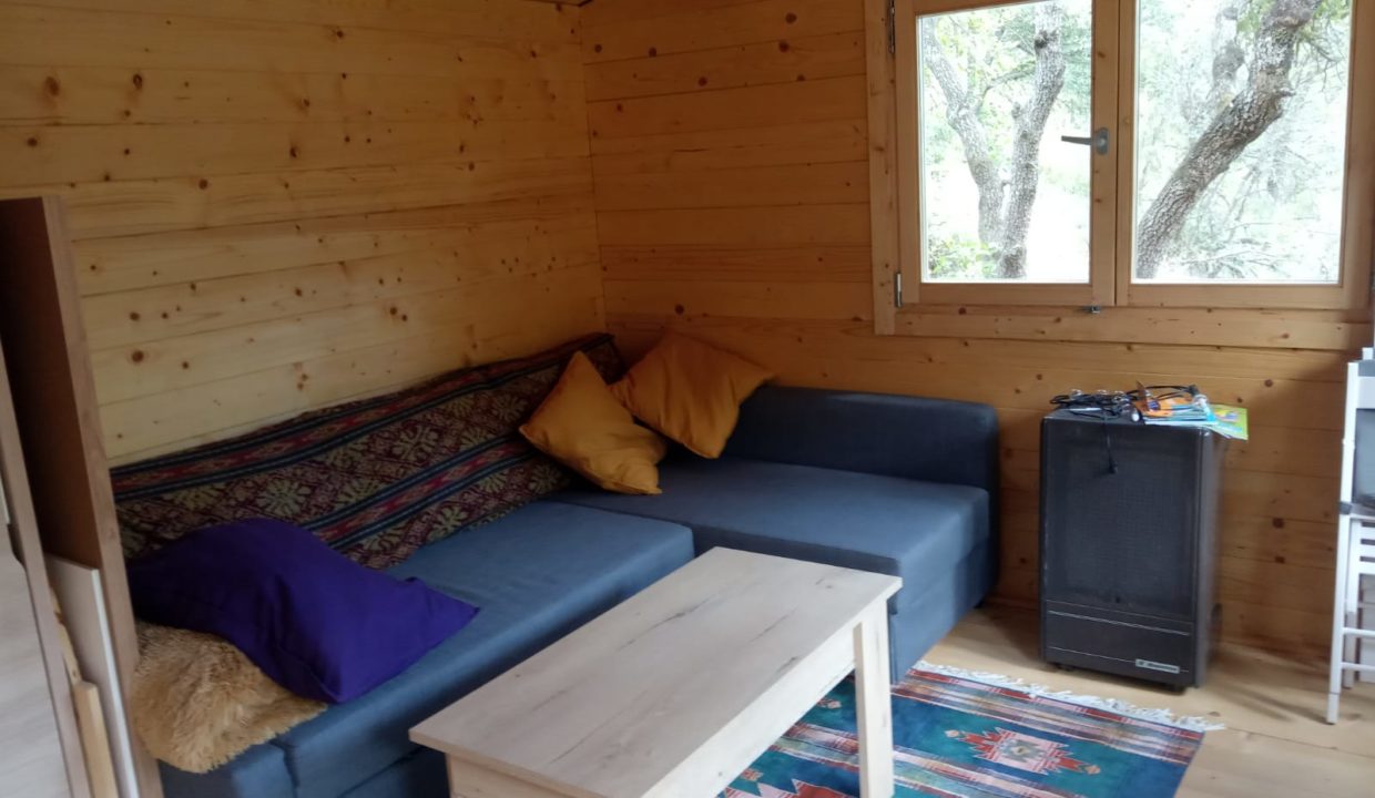 WhatsApp Image 2022-06-07 at 3.50.14 PM