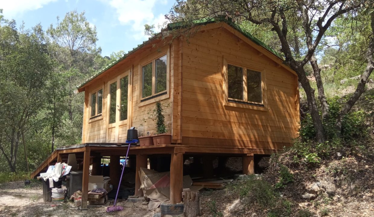 WhatsApp Image 2022-06-07 at 4.31.42 PM