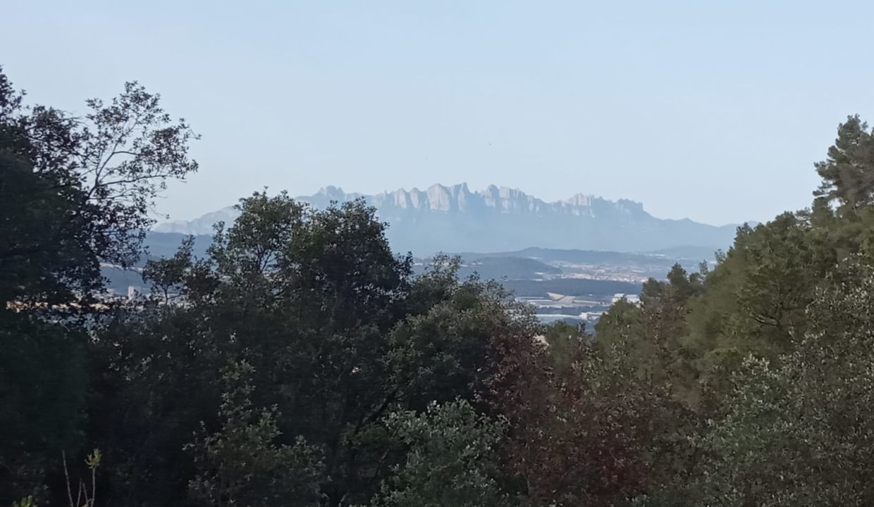 WhatsApp Image 2022-06-07 at 4.47.38 PM