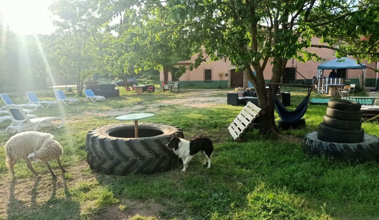 photo_2022-05-19_23-17-12