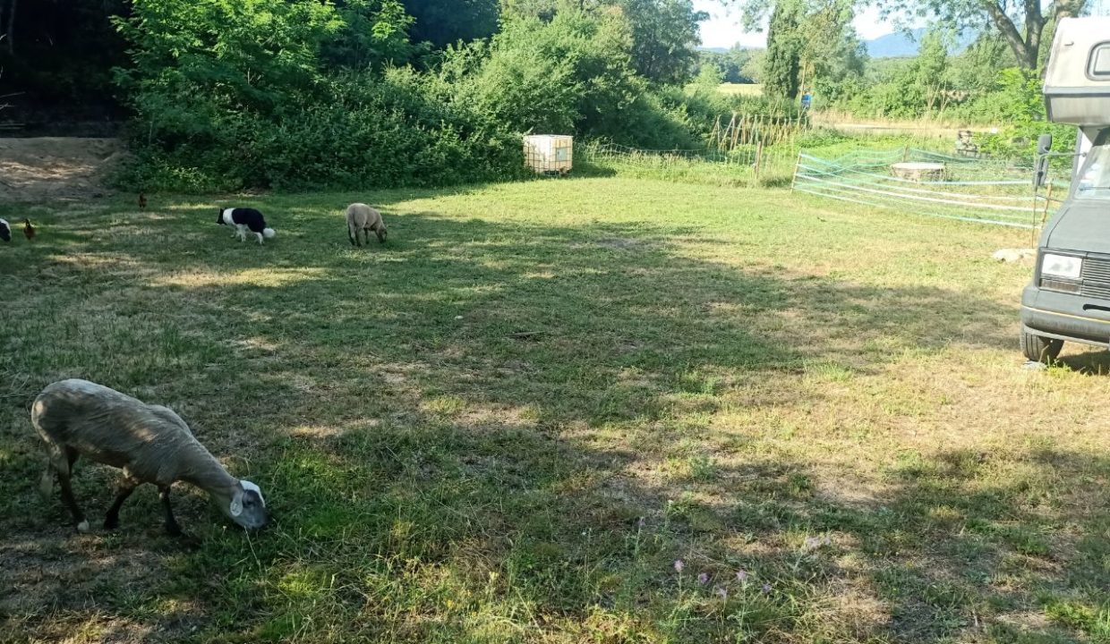 photo_2022-05-31_10-36-25