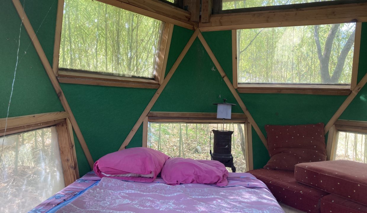 Denis minidome intérieur