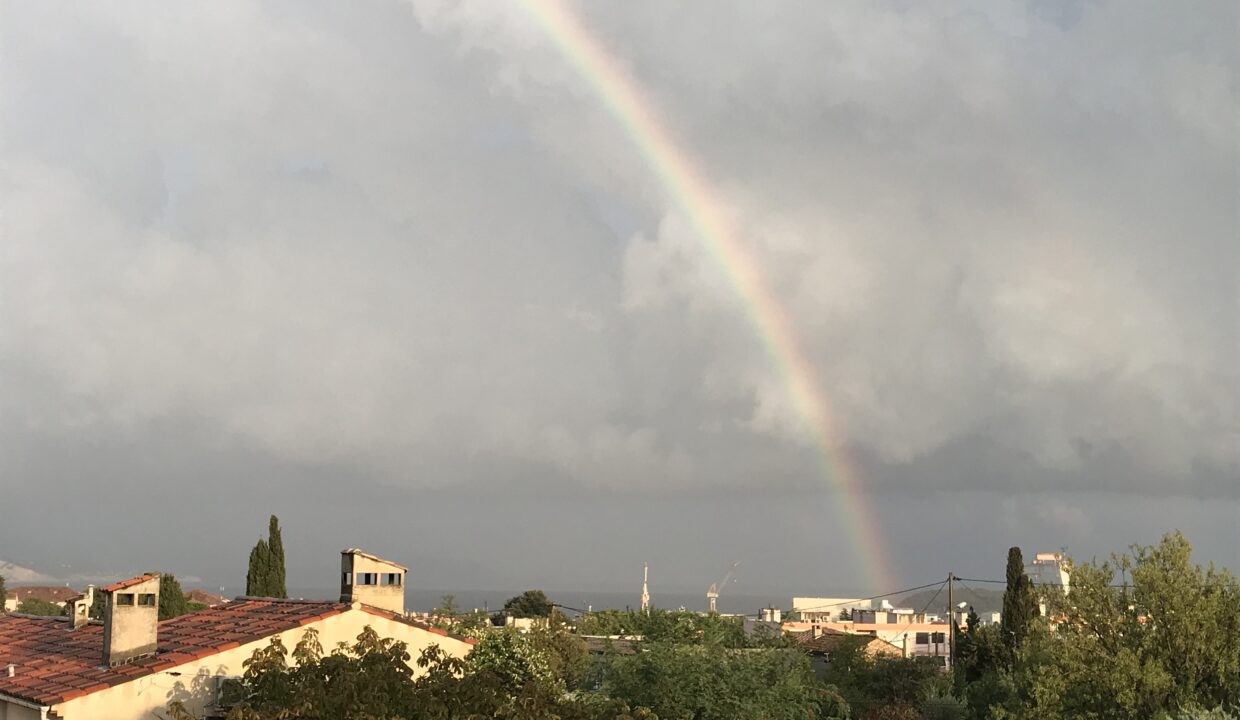 56DE89D7-D514-42F4-88B2-DF5DC28B8998