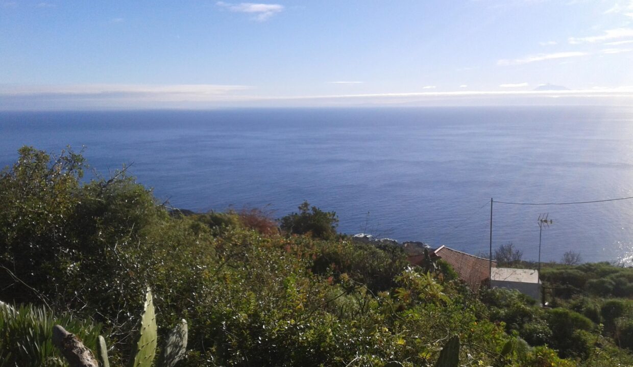 1550701362584_2019-02-01 09.44.32