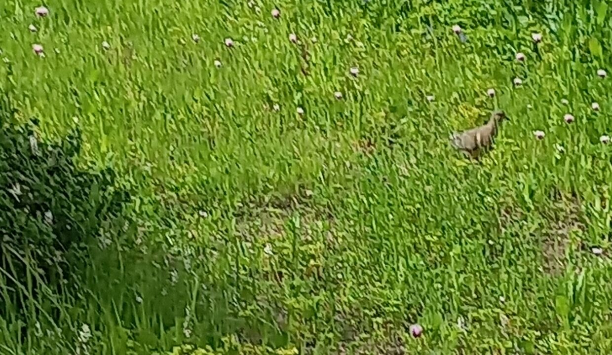 16642208512073100803305571982676