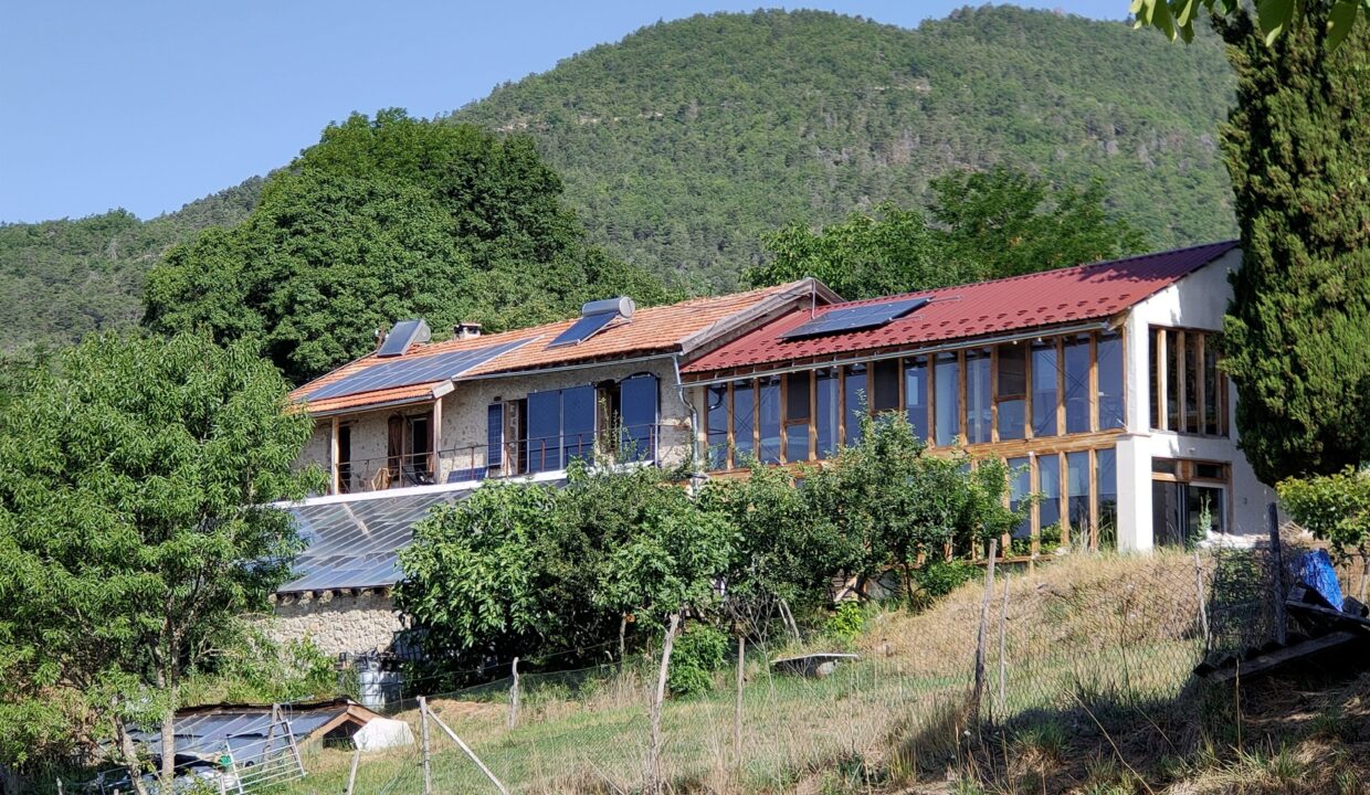 vue globale portrait