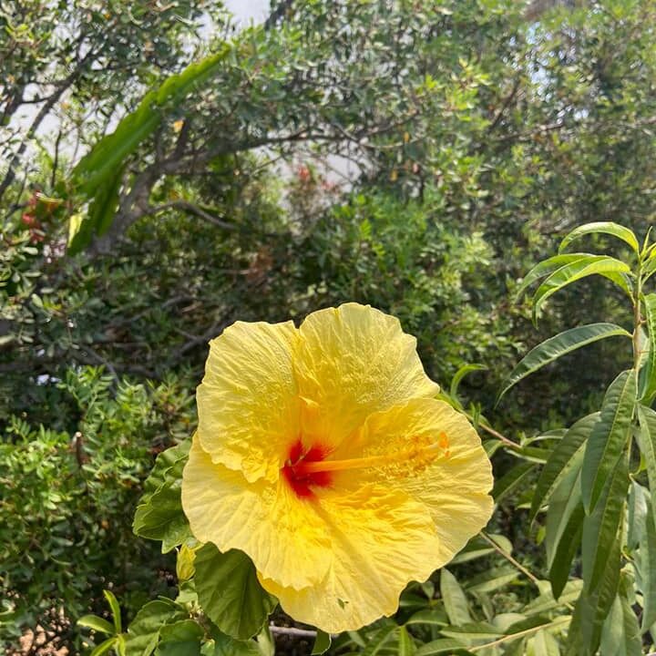 107692192_1390140984511537_4636913408904041235_n