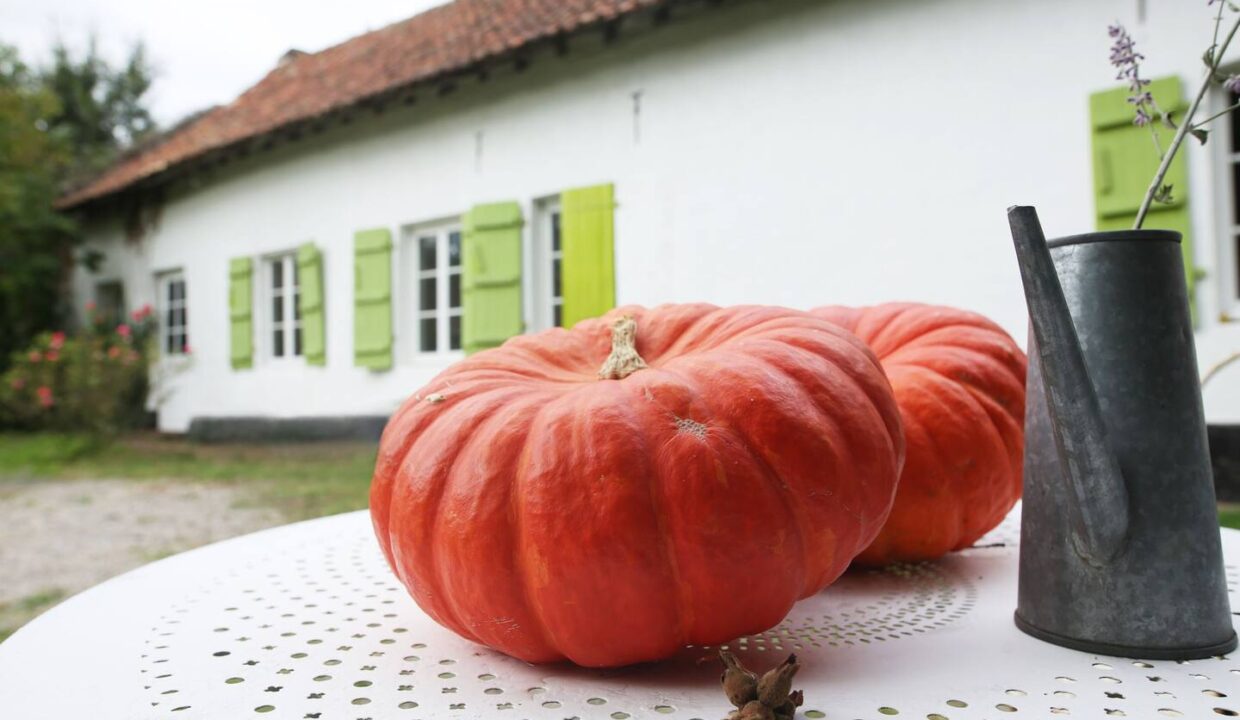 de3876b5-fdac-4e07-a03c-272ba537d6de