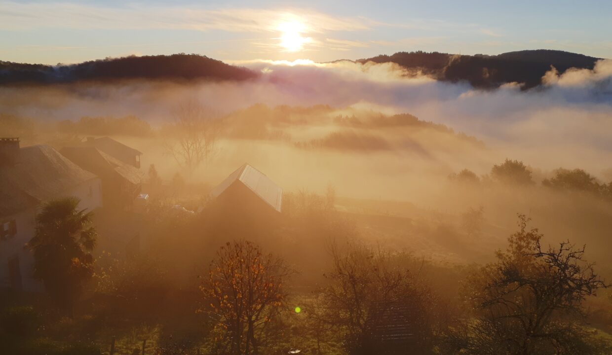 IMG_20201031_080241_HDR