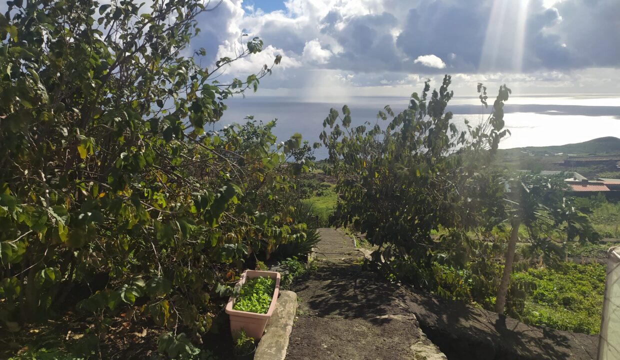 WhatsApp Image 2023-03-25 at 21.14.01