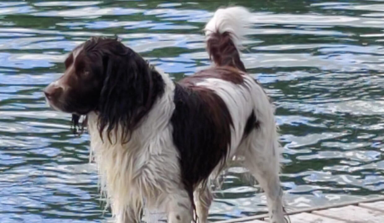 IMG_20220611_171328_DRO